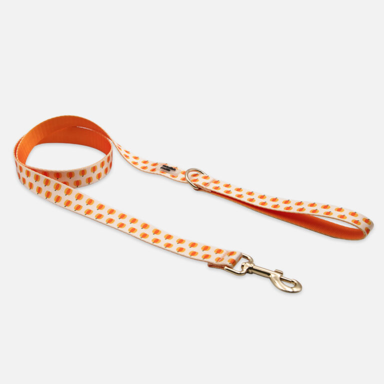 Pumpkin Patch Leash