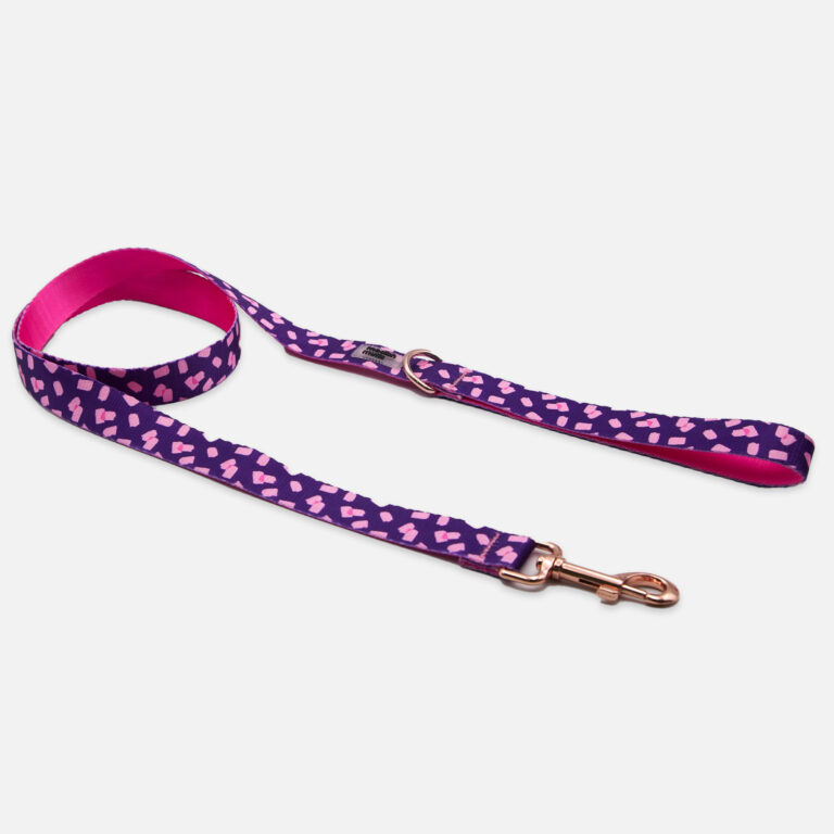 Candy Pop Leash