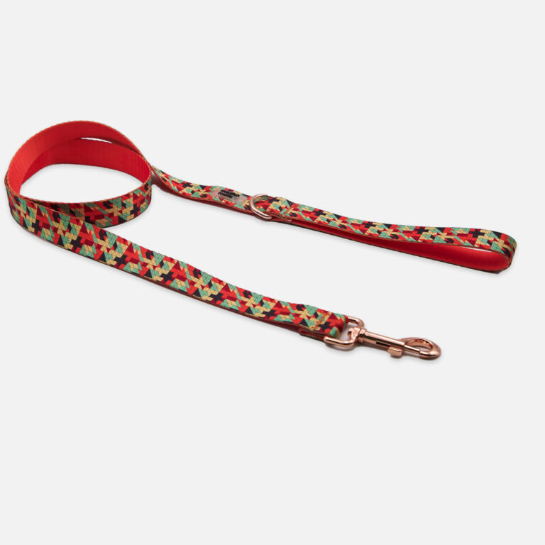 Geo Flame Leash