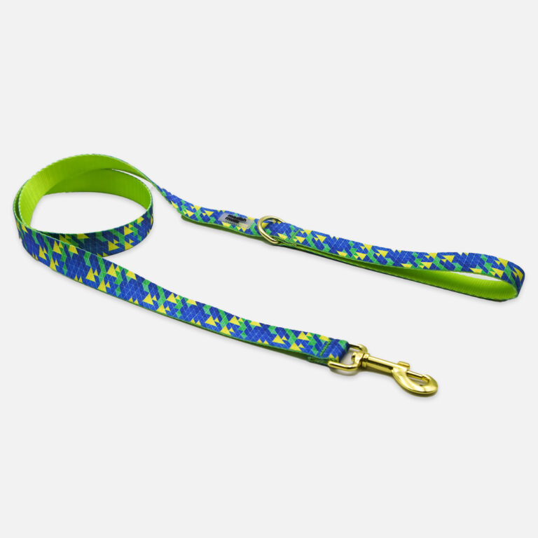 Pixel Pop Leash