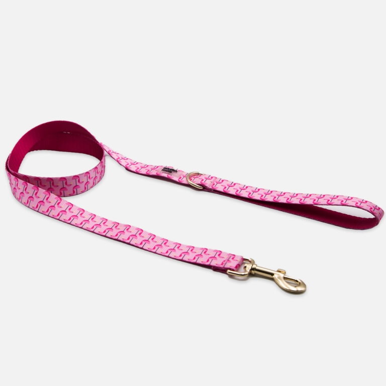 Flamingle Leash