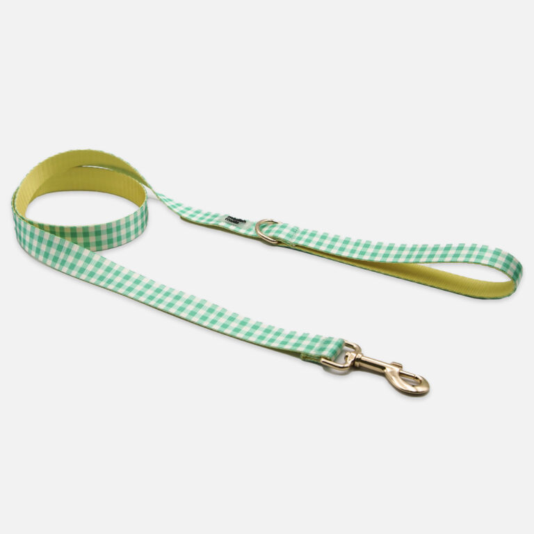 Meadow Check Leash