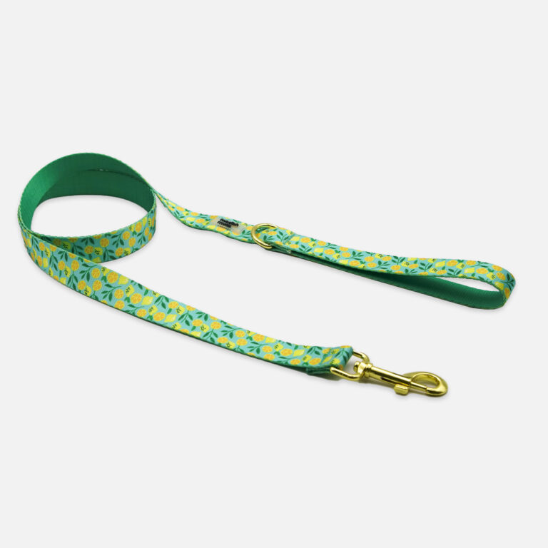 Zesty Leash
