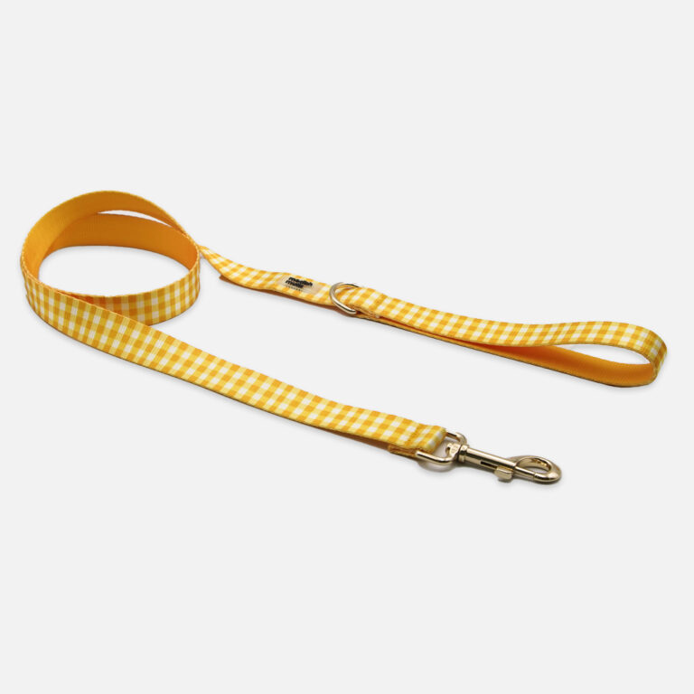 Sunny Check Leash